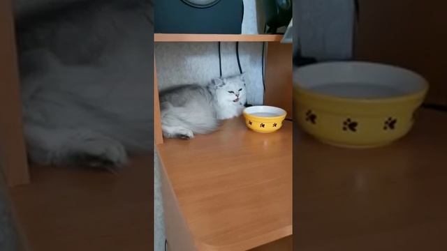 Иней в новомдоме Жарко смотреть онлайн