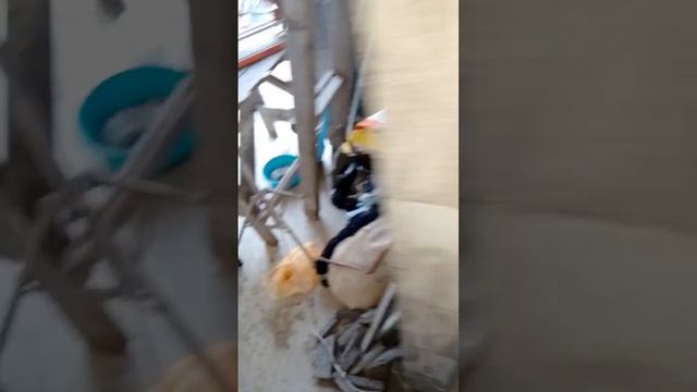 Плитка в котельной не роскошь, а начало работ по отоплению ))) смотреть онлайн