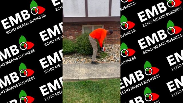 Why You NEED This Hedge Trimmer! with @pandhlawncare смотреть онлайн