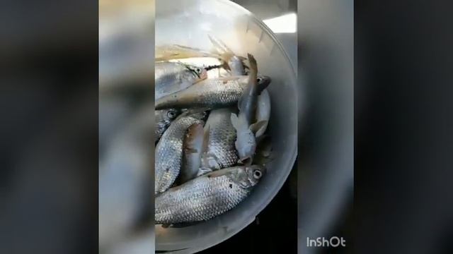 Каспийск , рыбалка, море, отдых, туризм!