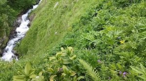 Насрудин Шейхмагомедов ''Горы Тарим''