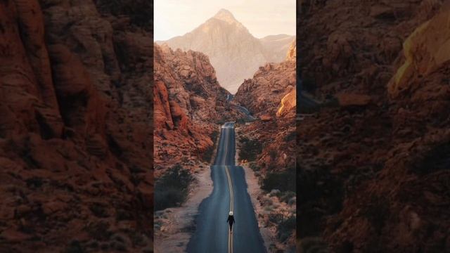 какой прекрасный чтение Коран очень красиво читает #ислам #islam #follow #истина смотреть онлайн