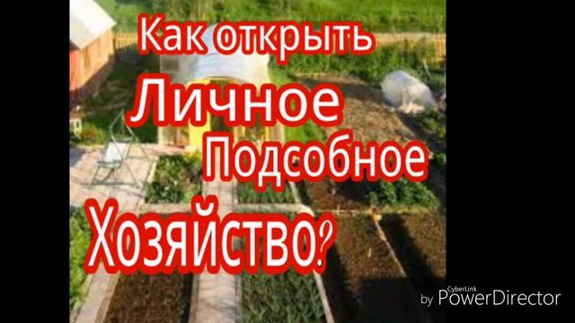 ЛПХ (Личное подсобное хозяйство). Регистрация, налоги и другие важные детали. смотреть онлайн