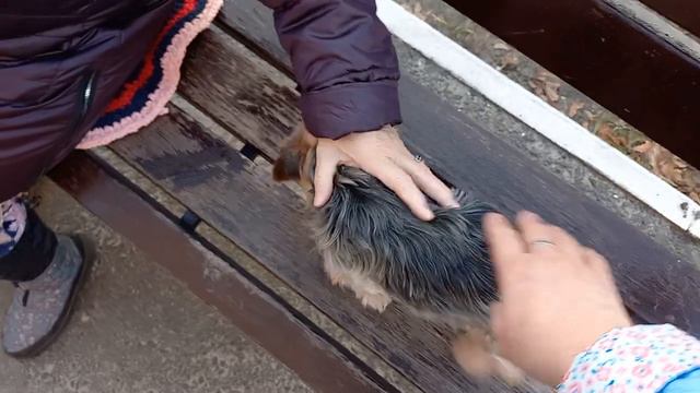 Самая красивая девочка Фея на свете смотреть онлайн