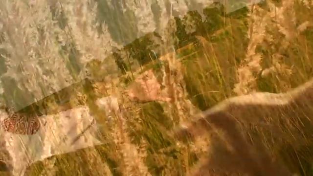 Тріо - Научала мати рушник вишивати.mpg смотреть онлайн