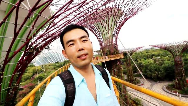 Сингапур/OCBC Skyway at Gardens by the Bay/Супер деревья и небесная тропа смотреть онлайн