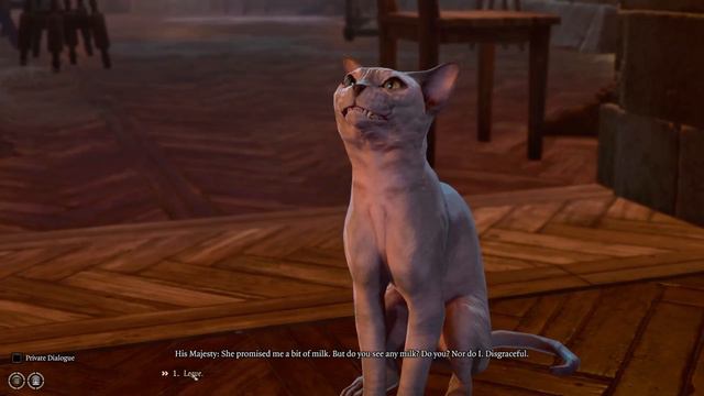 I Killed the Cat and put him in my bag смотреть онлайн