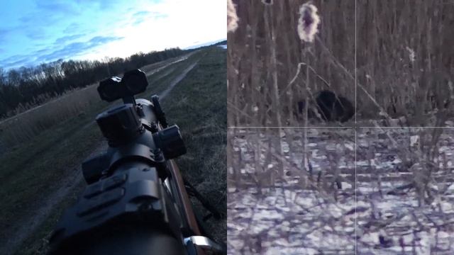 ДОБЫЛ хорошего БОБРА!!Закрыл сезон.ВИДЕО С ПРИЦЕЛА PARD DS35-70 LRF !! смотреть онлайн