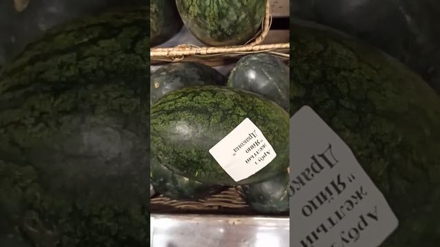 Живой ?дракон в Санкт-Петербурге, шок - оказывается драконы существует! смотреть онлайн