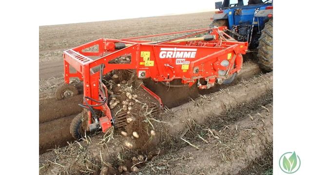 Описание сорта картофеля «Бриз» смотреть онлайн