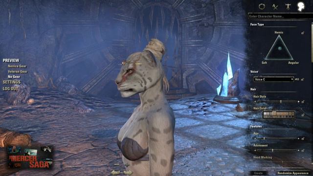 The Elder Scrolls Online // Female Khajiit Character Creation [Closed Beta] смотреть онлайн
