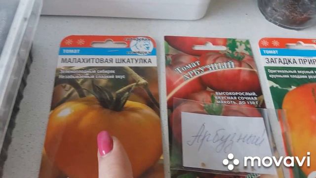 Удачные дни посева тепличных помидоров в Марте 2020! смотреть онлайн