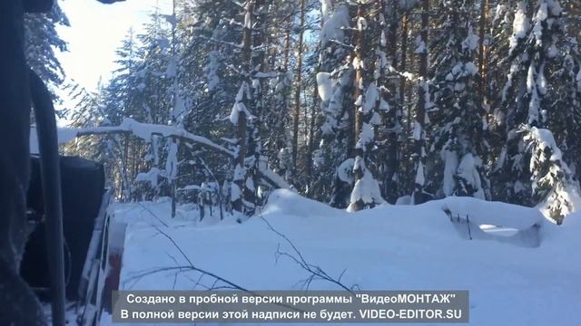 Покатушки на мотособаке БТС 2018 смотреть онлайн
