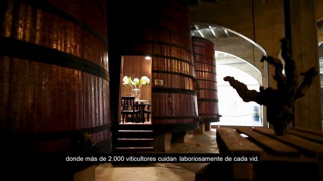 Campaña promocional Vino DOP Jumilla (ENG - SUB. ESP) смотреть онлайн