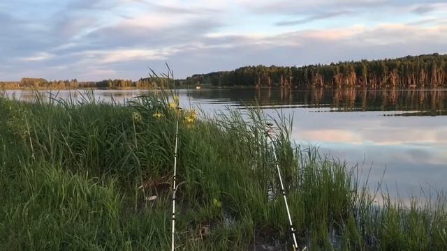 Рыбалка в Бураково Ясногорский район смотреть онлайн