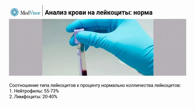 Белые кровяные тельца в анализах крови: расшифровка, норма смотреть онлайн