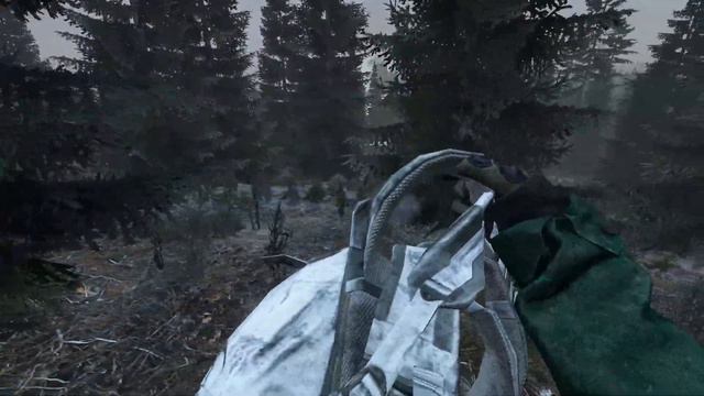 Our Craziest DayZ Adventure! ~ A DayZ Namalsk Movie смотреть онлайн