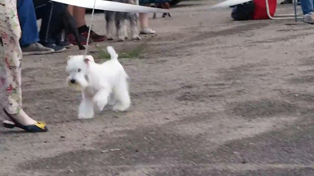 Naomi s Voznesenskogo Posada (Hugo Boss s Voznesenskogo Posada & Yves Nadis Believe in Me) смотреть онлайн