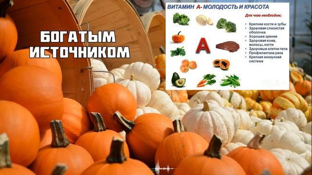Тыква. Польза и Вред. Лечебные Свойства. смотреть онлайн