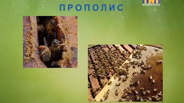 Здравица - Здоровые новости - Польза медовой продукции