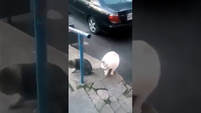 Как быстро они растут смотреть онлайн