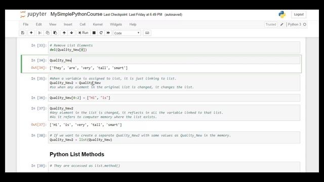 Fundamentals of Programming in Python Lecture 03 Python List Data Type Data Types in Python смотреть онлайн