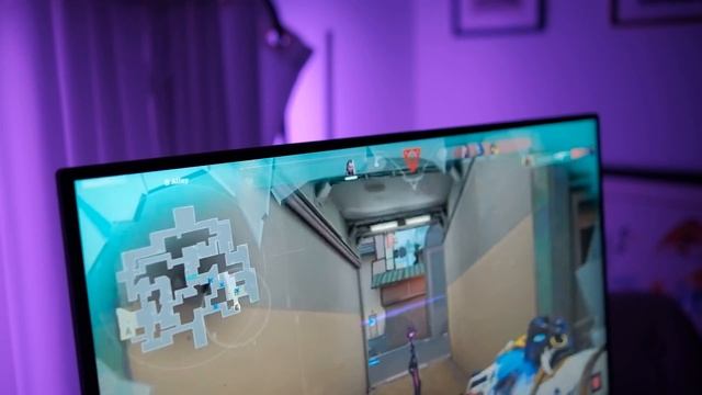 THE BEST VALUE GAMING MONITOR? смотреть онлайн