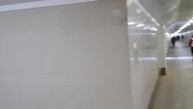 г.Москва, Проспект Защитников Москва, д.15. Подземный переход. Замена плитки на гранит. 04.06.2023г смотреть онлайн