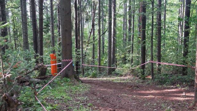 DHi '19 смотреть онлайн