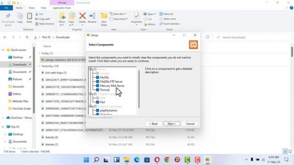 How to Setup localhost Server in Windows 11 using XAMMP