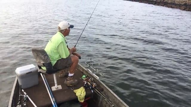 Big Catfish Casting with Gulp Alive Shirmp смотреть онлайн