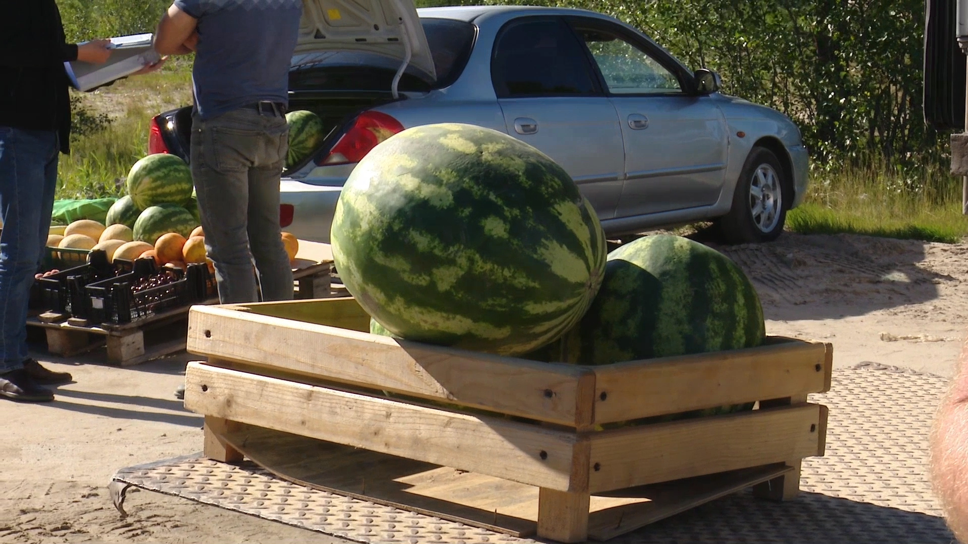 Уважаемый, купи арбуз! Вкусный - сам 7 штук вчера скушал... смотреть онлайн