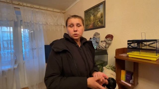 Летучая мышь укусила женщину в своей постели смотреть онлайн