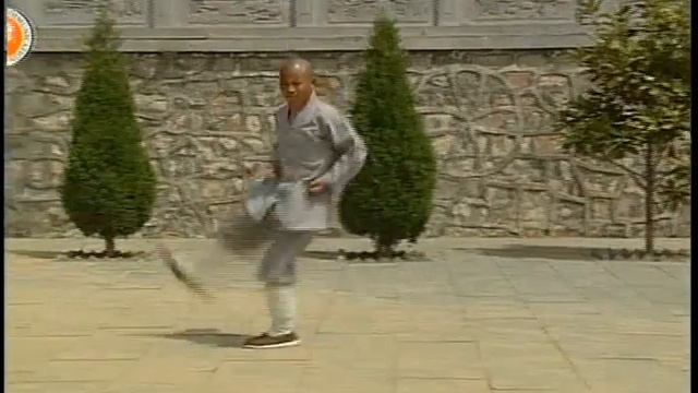 Shaolin Nanyuan Back-Through Boxing (Part 3) смотреть онлайн