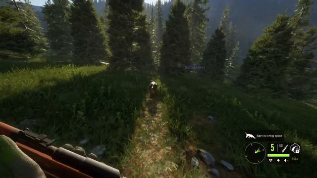 TheHunter: Call of the Wild - совместная охота со Славой смотреть онлайн