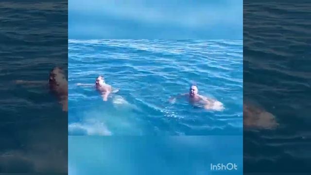 Норика день рождения и рыбалка на Иссыккуле. смотреть онлайн