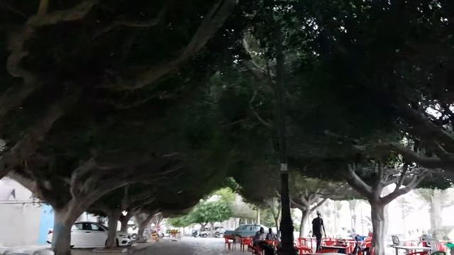 Центр города Махдии Тунис смотреть онлайн