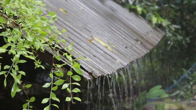 Sounds of rain for sleep and meditation / Звуки дождя для крепкого сна и медитации смотреть онлайн