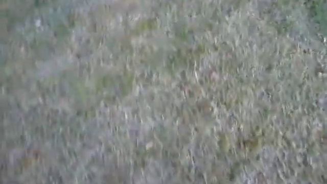 босиком по росе смотреть онлайн