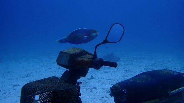 Любовь на глубине. смотреть онлайн