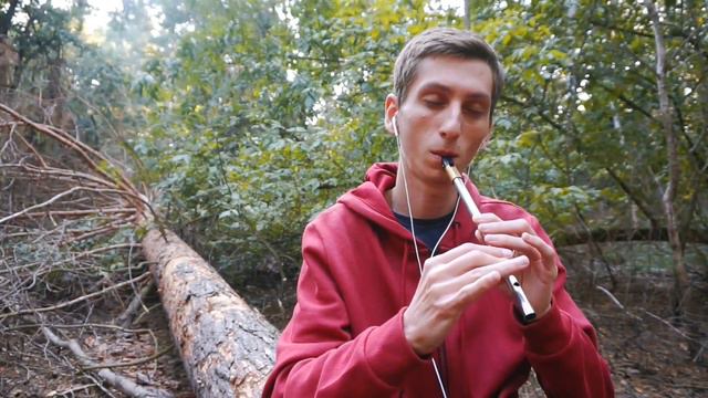 Scarborough Fair: Tin Whistle & Hammered Dulcimer смотреть онлайн