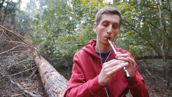 Scarborough Fair: Tin Whistle & Hammered Dulcimer