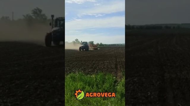 Трактор AGROVEGA в полях смотреть онлайн