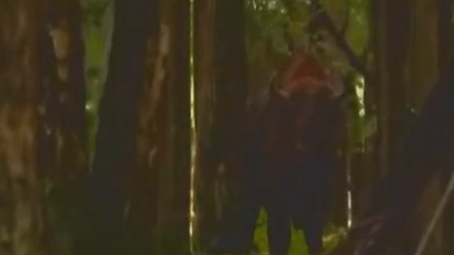 Природа России смотреть онлайн