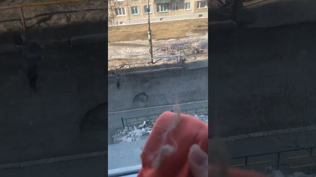 Салфетка для стекла Greenway смотреть онлайн