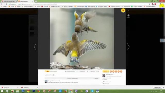 Как определить уникальность фотографии смотреть онлайн