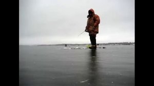 Рузское водохранилище  . Беляная гора