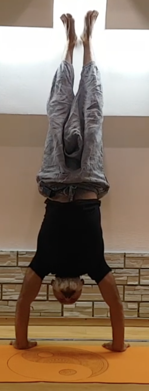Адхо Мукха Врикшасана | Стойка на руках | Средний уровень смотреть онлайн