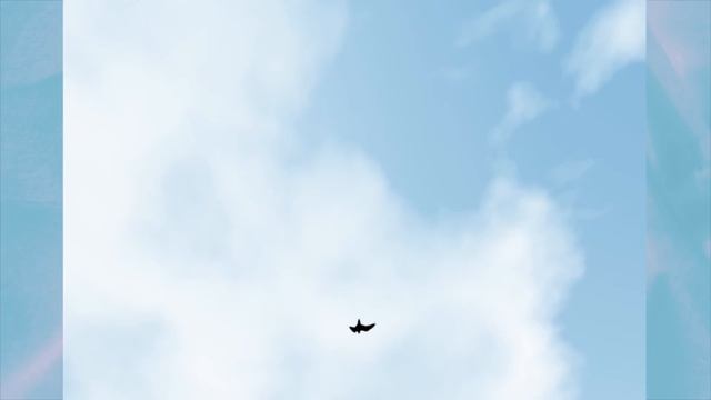 Peregrine falcons maneuver best when dive-bombing at over 300 km/hr смотреть онлайн