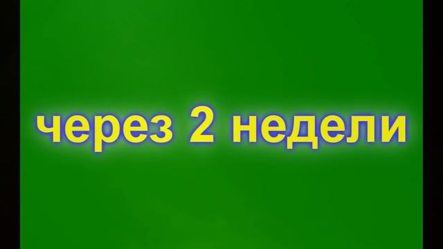 аквариумистика. инфузория. смотреть онлайн